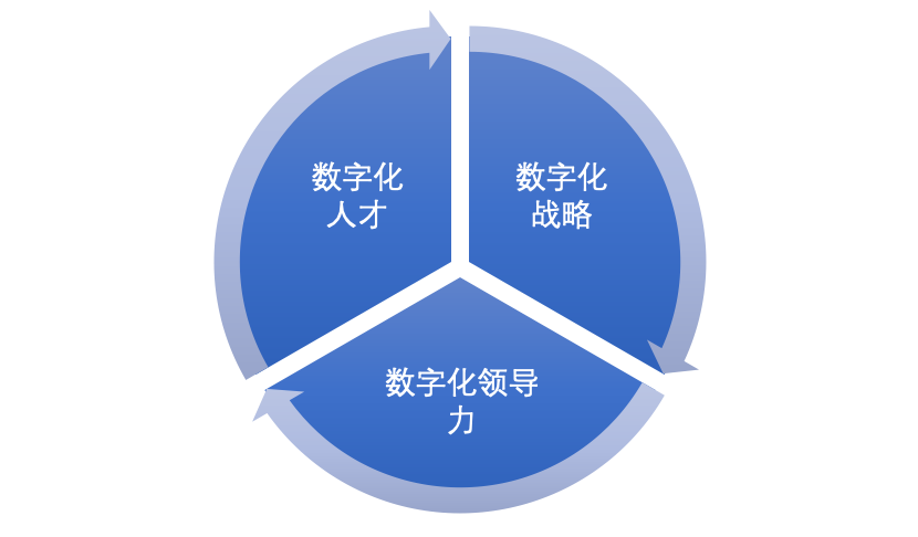 电服牛选,数据运营,中欧商业评论,策略,数字化