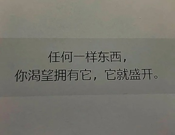 电服牛选：电商资讯，电商培训、电商运营,,广告营销,文案怪谈,文案,创意