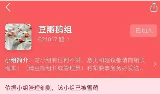 电服牛选,用户运营,卫夕,社交,内容运营,社群运营,社区