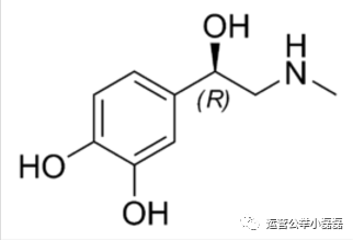 鸟哥笔记,新媒体运营,运营公举小磊磊,标题