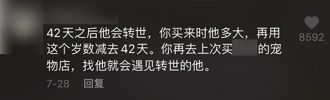 电服牛选,新媒体运营,运营研究社,视频工具,热点,短视频,抖音