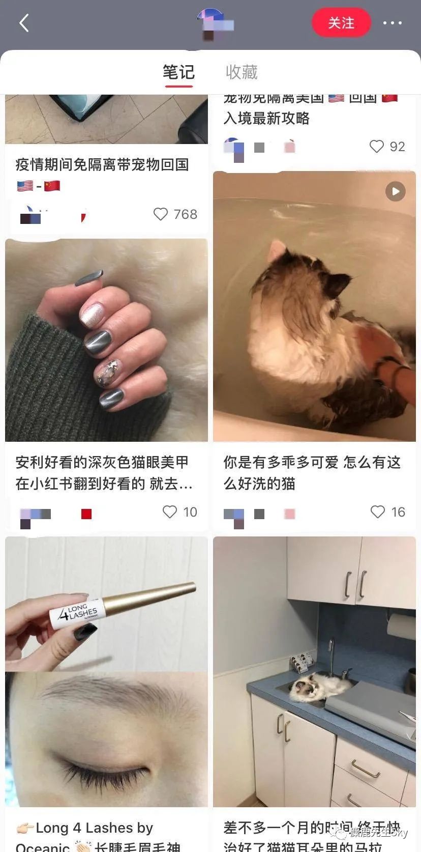 电服牛选,新媒体运营,麋鹿先生Sky,小红书,增长,涨粉,新媒体营销