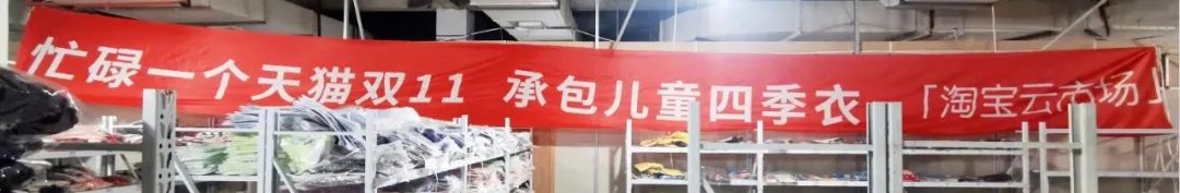 鸟哥笔记,电商快消,广告创意,订单,电商双11,双十一,电商