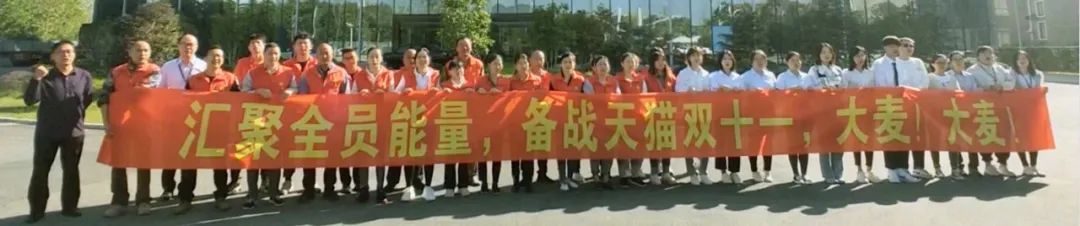 鸟哥笔记,电商快消,广告创意,订单,电商双11,双十一,电商