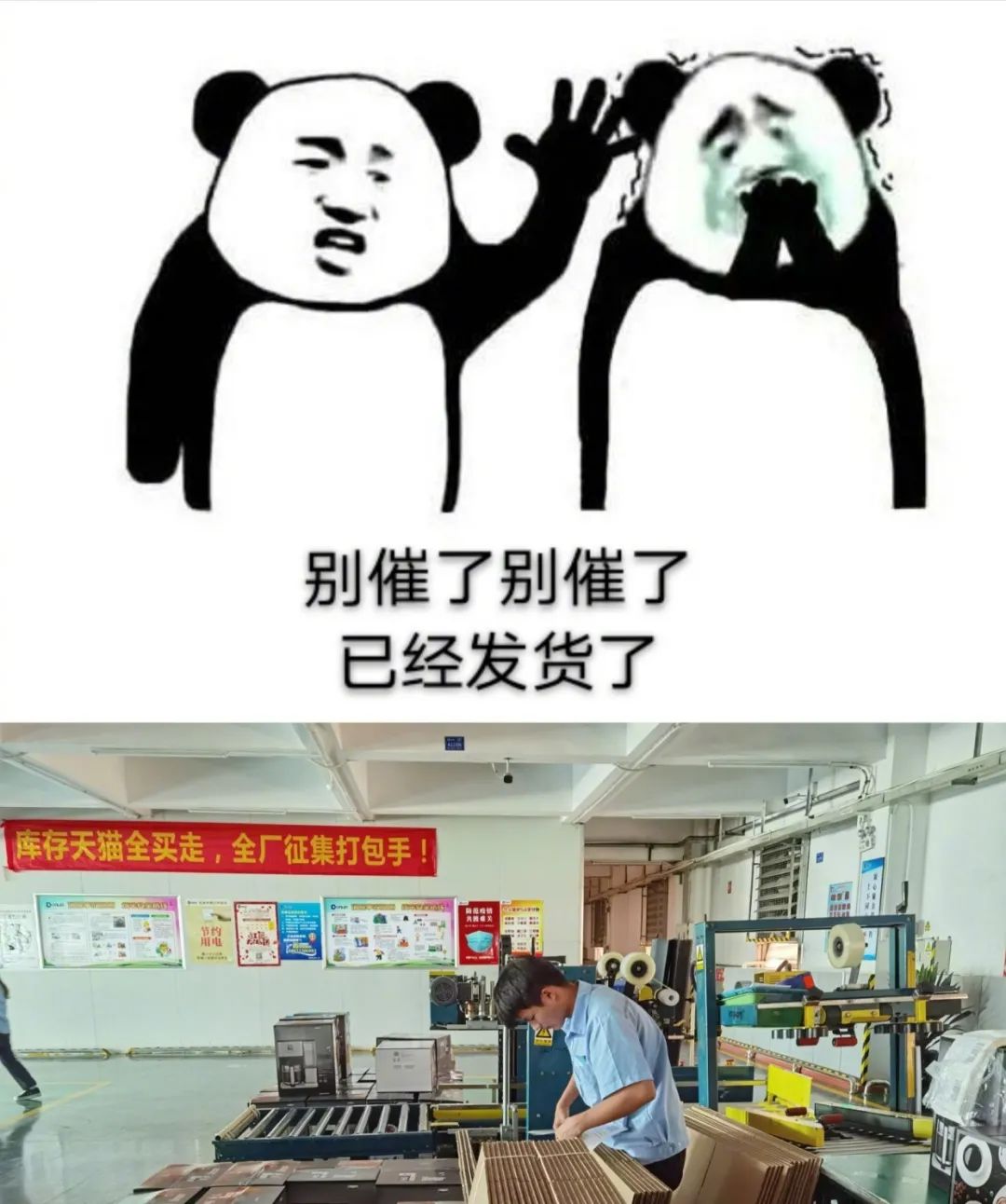 鸟哥笔记,电商快消,广告创意,订单,电商双11,双十一,电商
