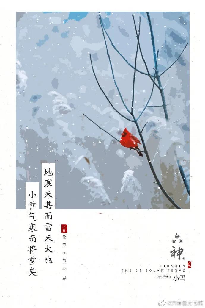 鸟哥笔记,营销推广,新媒虎,小雪,品牌,广告营销,策略,文案,创意,传播,营销