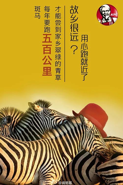 鸟哥笔记,营销推广,木木老贼,春节,节日,广告,品牌,文案,案例,创意,营销