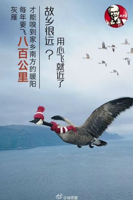 鸟哥笔记,营销推广,木木老贼,春节,节日,广告,品牌,文案,案例,创意,营销