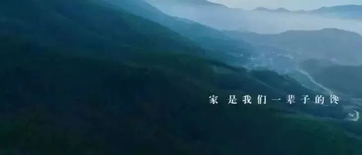 鸟哥笔记,营销推广,木木老贼,春节,节日,广告,品牌,文案,案例,创意,营销