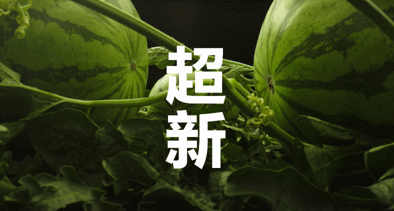 鸟哥笔记,广告创意,顶尖广告,消费者洞察,宣传片,魔性广告,广告创意