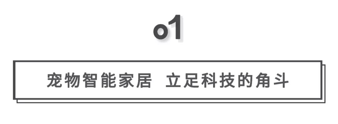 鸟哥笔记,行业动态,消费界,宠物经济,市场洞察,未来趋势,行业动态,行业动态,行业动态,宠物经济,行业动态