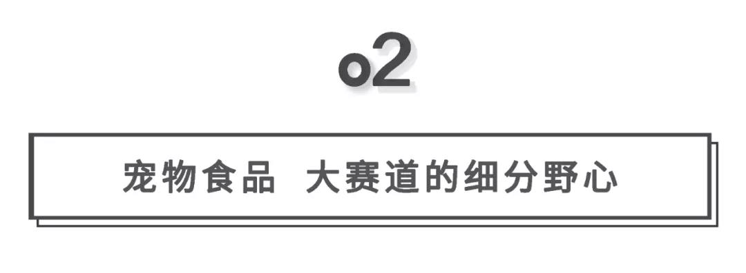 鸟哥笔记,行业动态,消费界,宠物经济,市场洞察,未来趋势,行业动态,行业动态,行业动态,宠物经济,行业动态