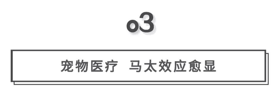 鸟哥笔记,行业动态,消费界,宠物经济,市场洞察,未来趋势,行业动态,行业动态,行业动态,宠物经济,行业动态