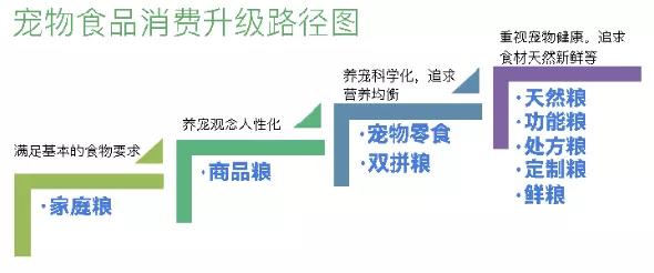 鸟哥笔记,行业报告,消费界,宠物经济,行业报告,市场洞察,消费