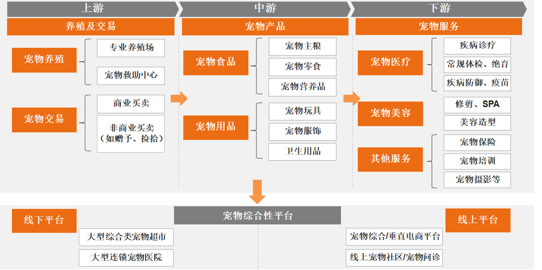 宠物单品，凭啥能1个月创收300万？