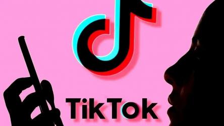 TikTok推出個性化廣告設置功能