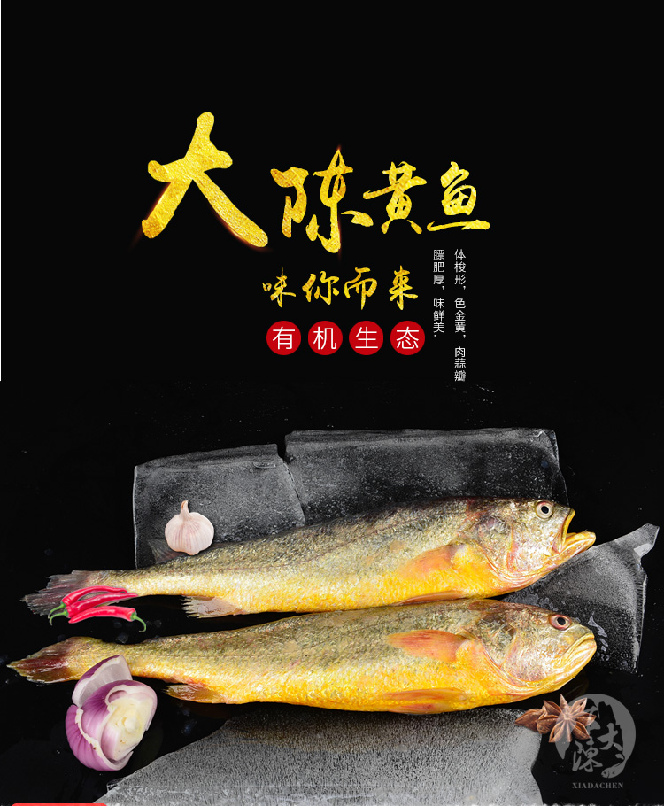 大陈冰鲜深海养殖自然饵料喂养6条(0.8-1斤/条)黄鱼_牛选